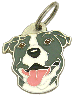 STAFFORDSHIRE TERRIER AMÉRICAIN GRIS ET BLANC <br> (Médaille chien, gravure gratuite)